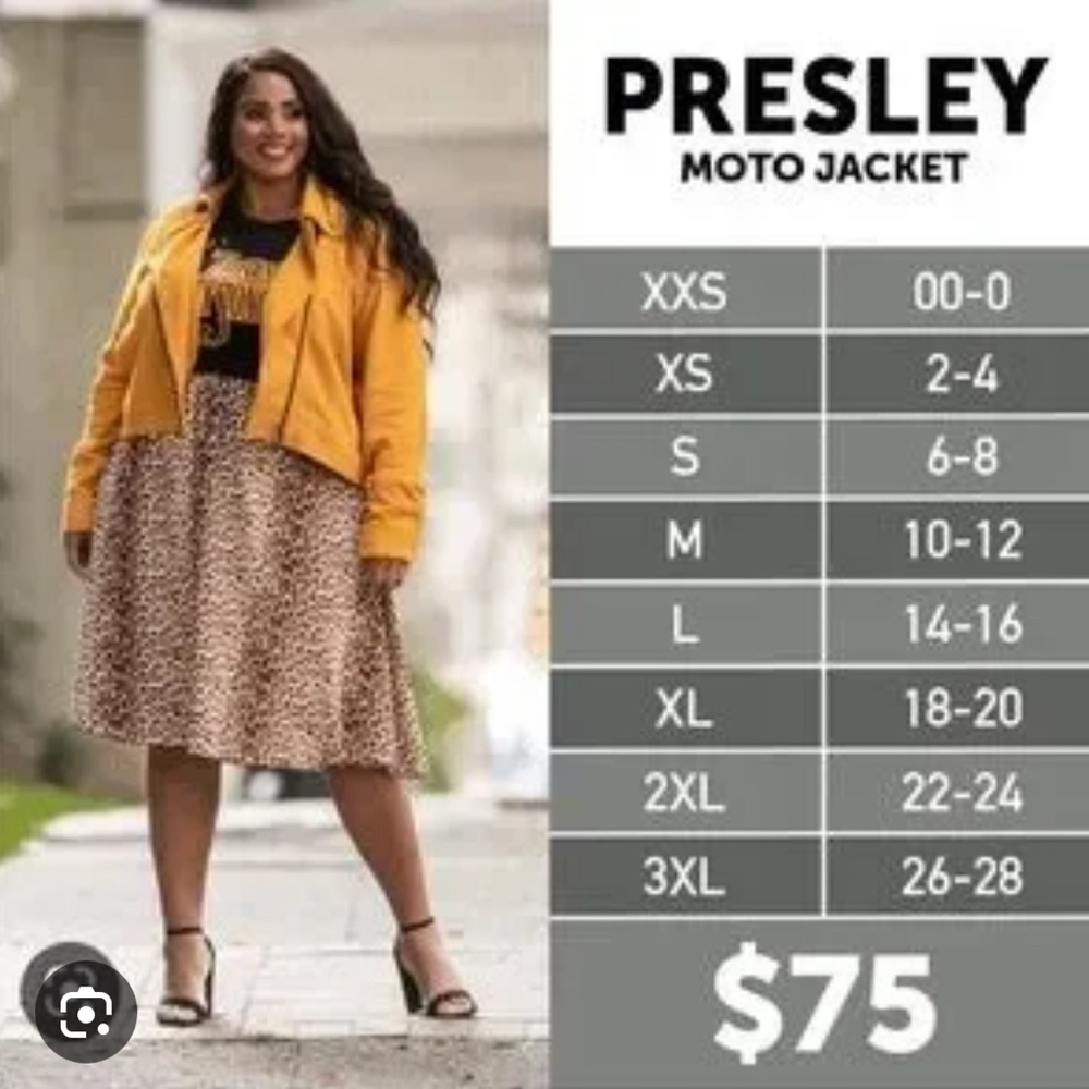 LuLaRoe Green and Gray Bomber Jacket with Asymmetrical Design - Picture 5 of 5